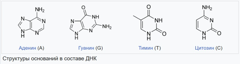 Google представила ИИ-платформу для исследования человеческого генома и закономерностей изменения ДНК